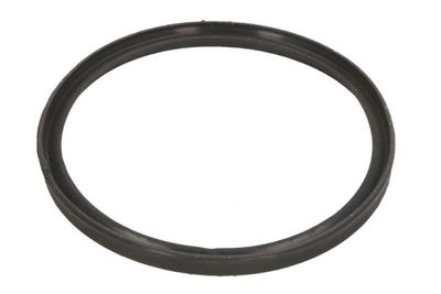 Seal Ring THERMOTEC DCB086TT