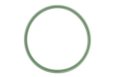 Seal Ring, charge air hose THERMOTEC DCB105TT