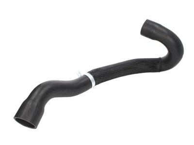 Intake Hose, air filter THERMOTEC DCC018TT
