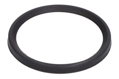 Seal Ring, charge air hose THERMOTEC DCC079TT