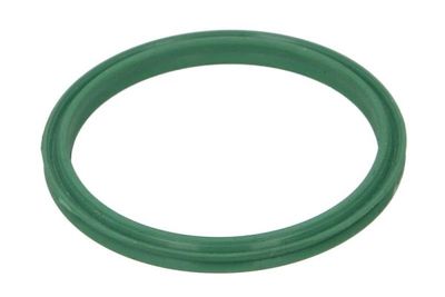 Seal Ring, charge air hose THERMOTEC DCR272TT