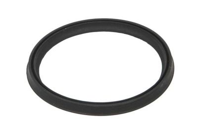 Seal Ring, charge air hose THERMOTEC DCR273TT