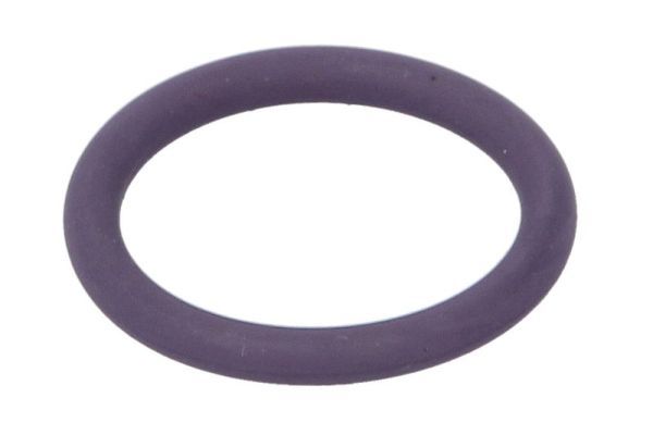 THERMOTEC DCR276TT Gasket, coolant pipe