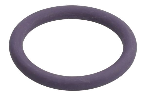 THERMOTEC DCR277TT Gasket, coolant pipe