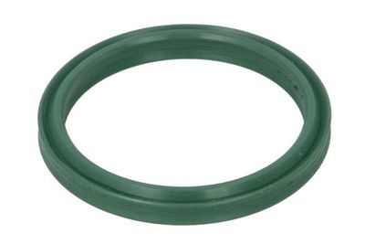 Seal Ring, charge air hose THERMOTEC DCR280TT