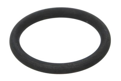 Seal Ring, charge air hose THERMOTEC DCR283TT