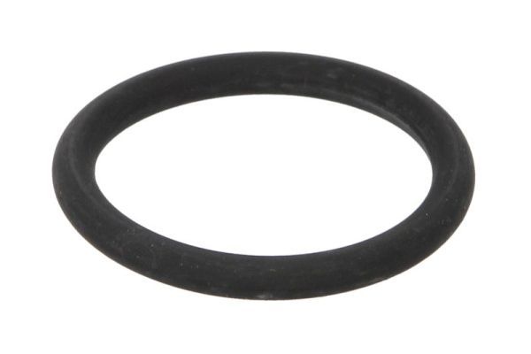 THERMOTEC DCR286TT Gasket, charge air cooler
