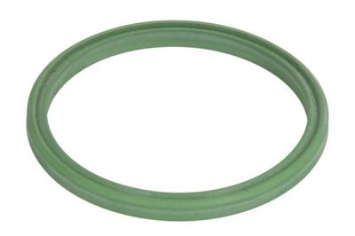 Charge Air Hose THERMOTEC DCW252TT
