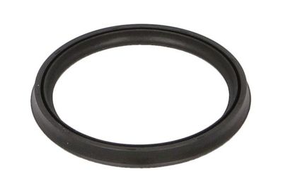 Seal Ring, charge air hose THERMOTEC DCX152TT