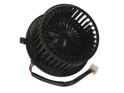Electric Motor, interior blower THERMOTEC DDW005TT
