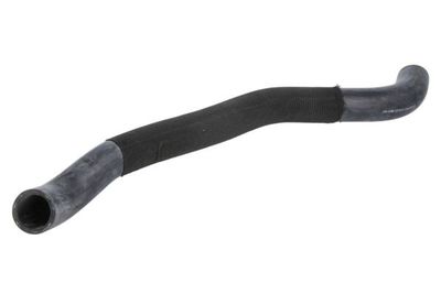 Radiator Hose THERMOTEC DW0318TT