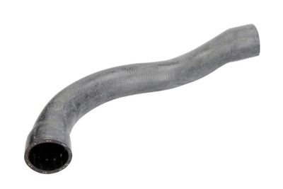 Radiator Hose THERMOTEC DWB080TT