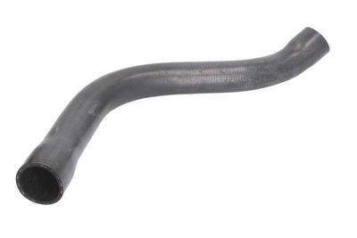 Radiator Hose THERMOTEC DWB088TT