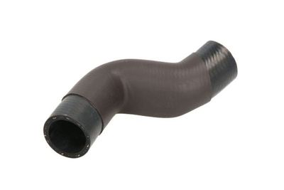 Radiator Hose THERMOTEC DWB113TT