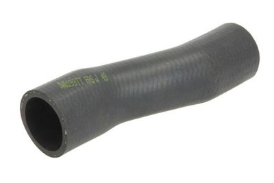 Radiator Hose THERMOTEC DWB199TT