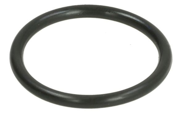 THERMOTEC DWC154TT Seal Ring, coolant pipe