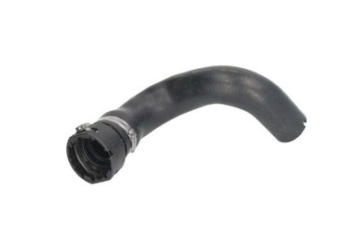 Radiator Hose THERMOTEC DWF073TT