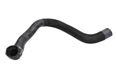 Radiator Hose THERMOTEC DWF086TT