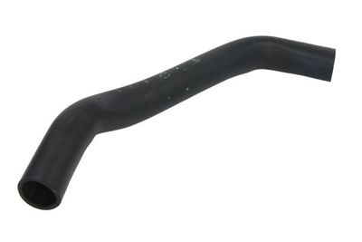 Radiator Hose THERMOTEC DWF088TT
