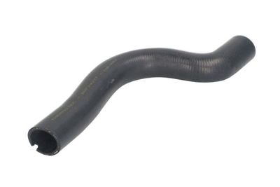 Radiator Hose THERMOTEC DWF242TT