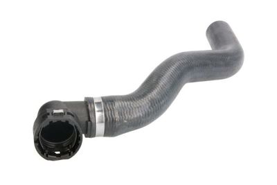 Radiator Hose THERMOTEC DWF259TT
