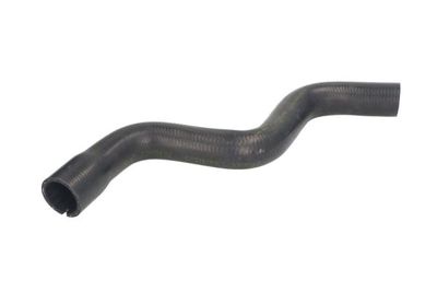 Radiator Hose THERMOTEC DWF260TT