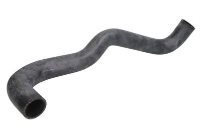 Radiator Hose THERMOTEC DWG029TT