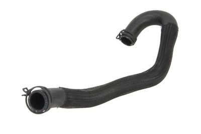 Radiator Hose THERMOTEC DWG095TT