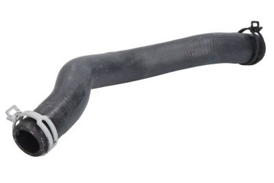 Radiator Hose THERMOTEC DWG100TT