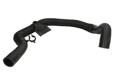 Radiator Hose THERMOTEC DWG106TT