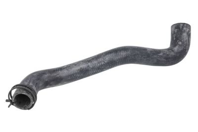Radiator Hose THERMOTEC DWG181TT
