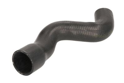 Radiator Hose THERMOTEC DWM104TT