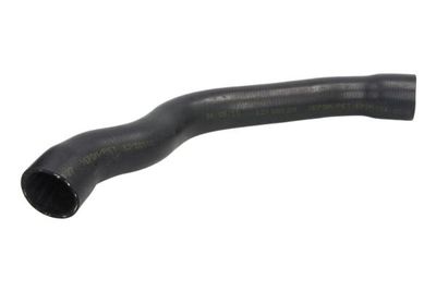 Radiator Hose THERMOTEC DWM119TT