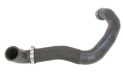 Radiator Hose THERMOTEC DWM174TT
