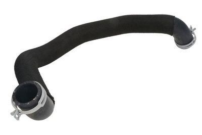 Radiator Hose THERMOTEC DWM200TT