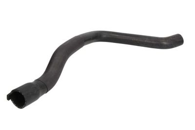 Radiator Hose THERMOTEC DWP096TT