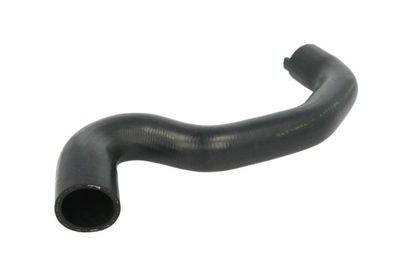 Radiator Hose THERMOTEC DWP100TT