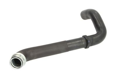 Radiator Hose THERMOTEC DWP134TT