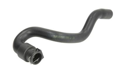 Radiator Hose THERMOTEC DWP160TT