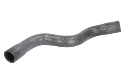 Radiator Hose THERMOTEC DWR185TT