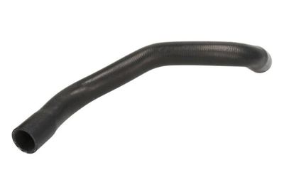 Radiator Hose THERMOTEC DWR216TT