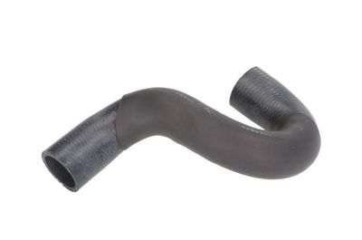Radiator Hose THERMOTEC DWX190TT
