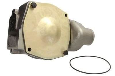 Water Pump, engine cooling THERMOTEC WP-CA101