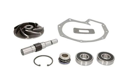 Repair Kit, water pump THERMOTEC WP-DF101RK