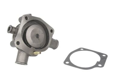 Water Pump, engine cooling THERMOTEC WP-PK106