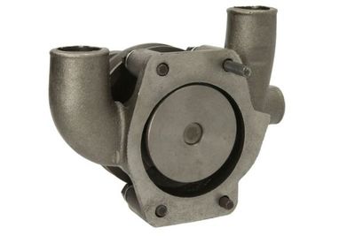 Water Pump, engine cooling THERMOTEC WP-PK118
