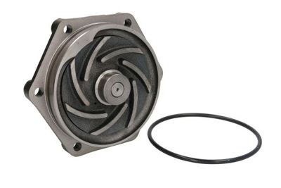 Water Pump, engine cooling THERMOTEC WP-DZ108