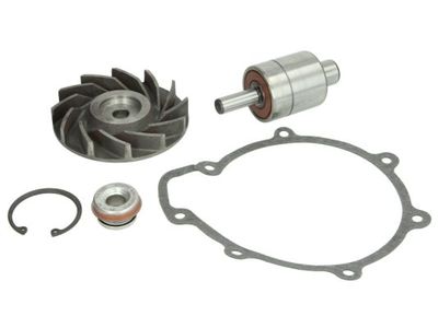 Gasket Set, water pump THERMOTEC WP-MN111RK