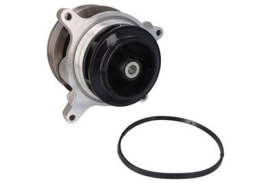 Water Pump, engine cooling THERMOTEC WP-MN151