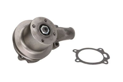 Water Pump, engine cooling THERMOTEC WP-PK105